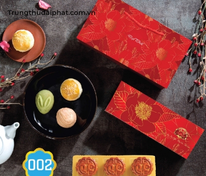 Lễ Hộp Thân Thiện 002