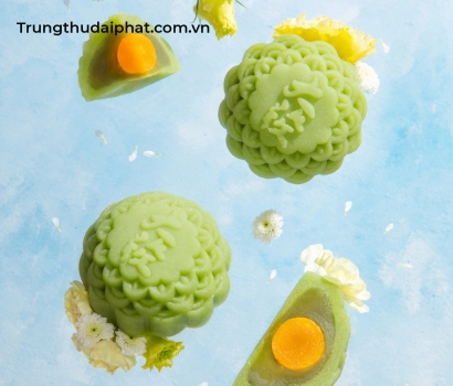 Lễ Hộp Hảo Hạng 204