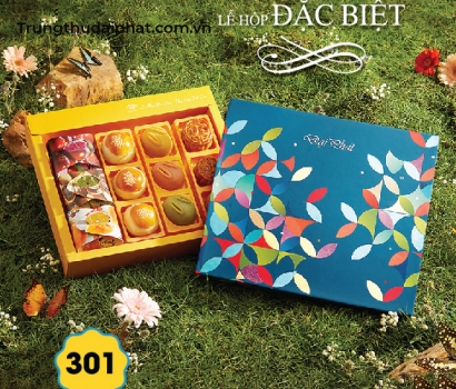 Lễ Hộp Đặc Biệt 301